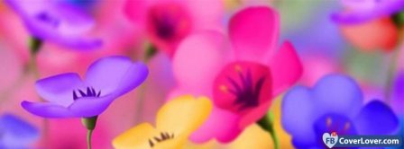 Colorful Flowers Facebook Covers