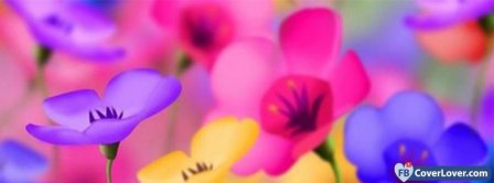 Colorful Flowers Facebook Covers