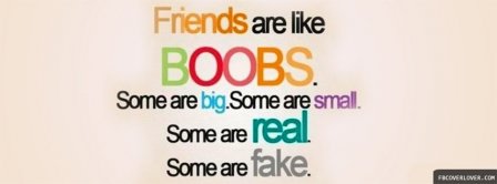 Friends Are Like Boobs Facebook Covers