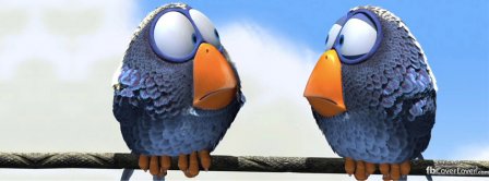 Funny Birds Facebook Covers