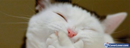 Funny Cat Facebook Covers