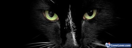 Gattoeye  Facebook Covers