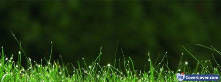 Green Grass  Facebook Covers