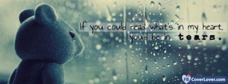 Heart And Tears Quotes Facebook Covers