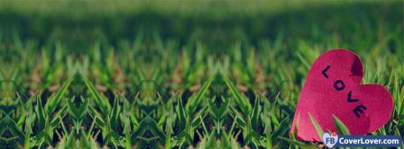 Heart Love In Grass  Facebook Covers