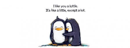 I Like You A Lottle Facebook Covers