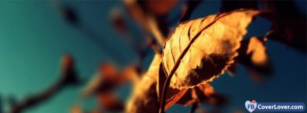 Autumn Leafs Facebook Covers