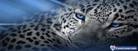 Amazing Leopard 2 Facebook Covers