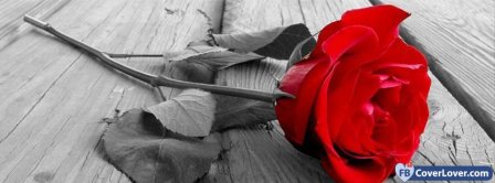 Love Red Rose Facebook Covers