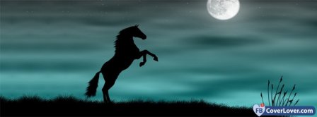 Mighty Horse 2  Facebook Covers