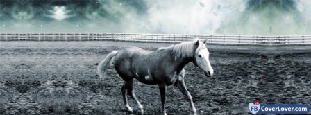 Mighty Horse 3 Facebook Covers