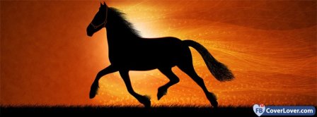 Mighty Horse 4 Facebook Covers