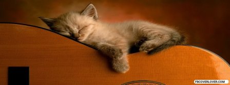 Sleeping Kitty On Guitar Facebook Covers