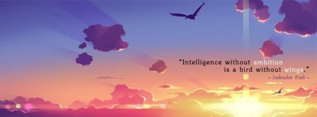 Intelligence Without Ambition Facebook Covers