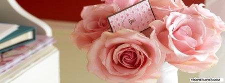 Valentines Day Gift Pink Roses Facebook Covers